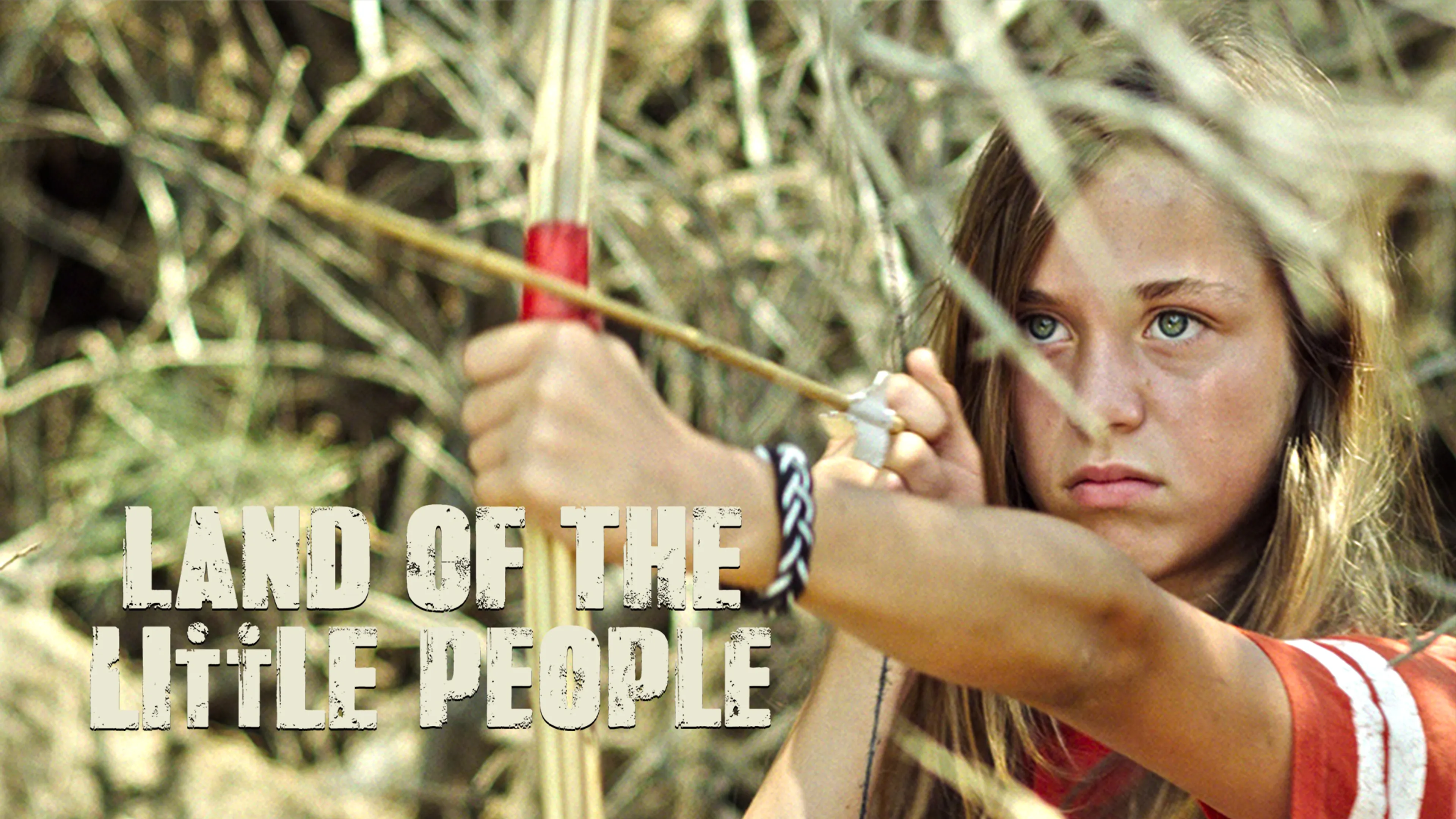 Land of the Little People poster